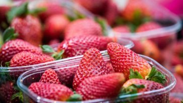 Australian Strawberries