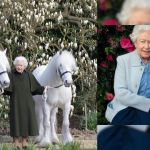 Queen Elizabeth Left Her Precious Possessions: Dogs And Horses