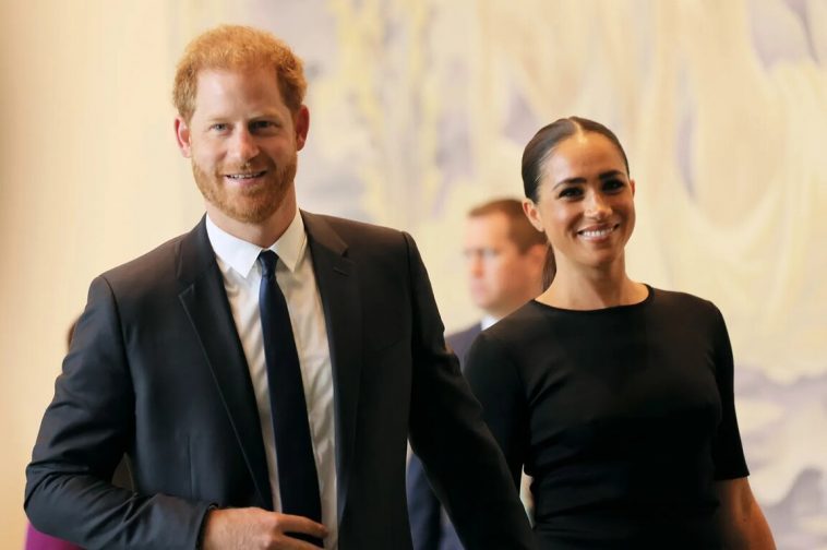 Prince Harry And Meghan Markle’s Take On Family Privacy